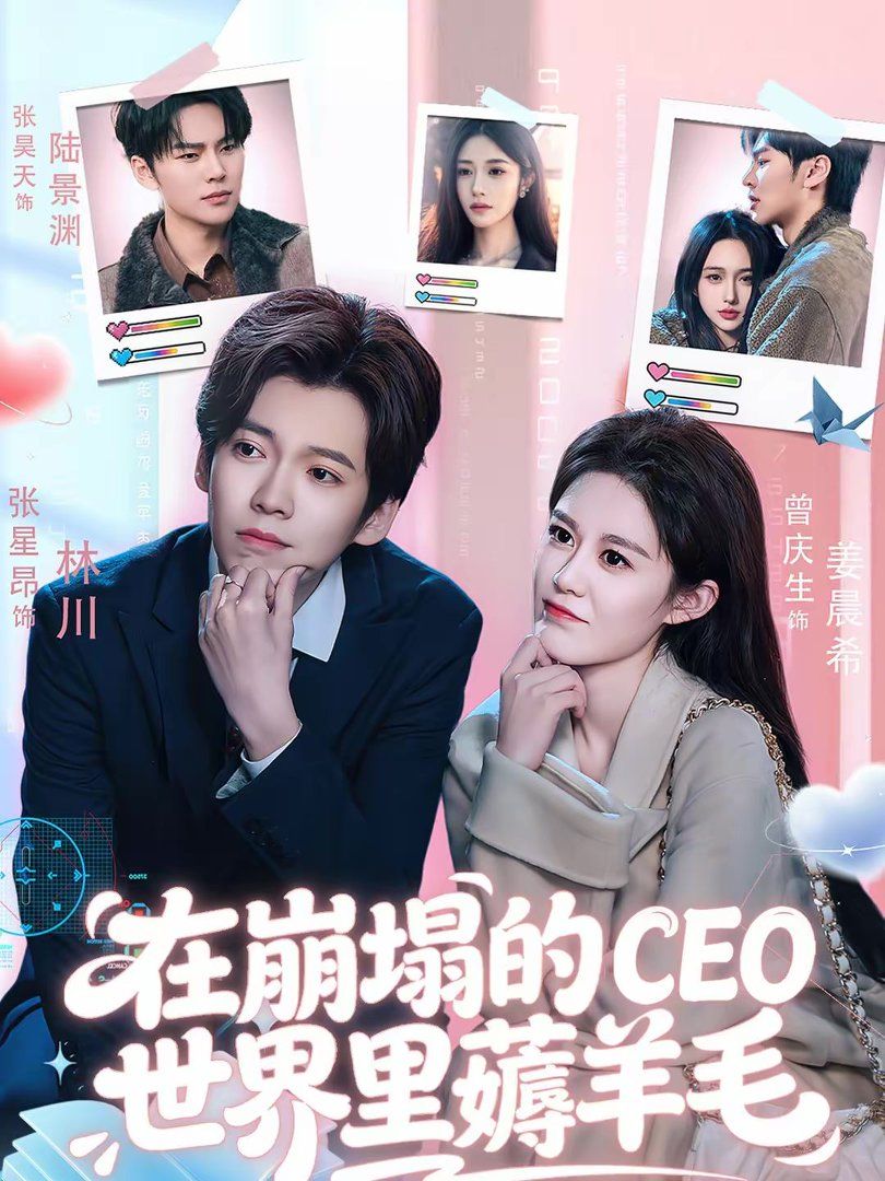 在崩塌的CEO世界里薅羊毛